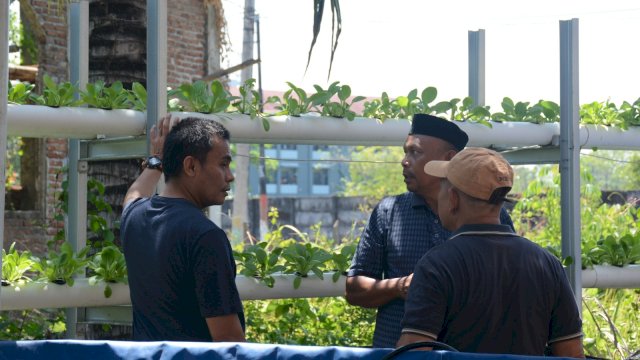 Program Terpadu Ekonomi Hijau Bisa Dongkrak Urban Farming dan UMKM  