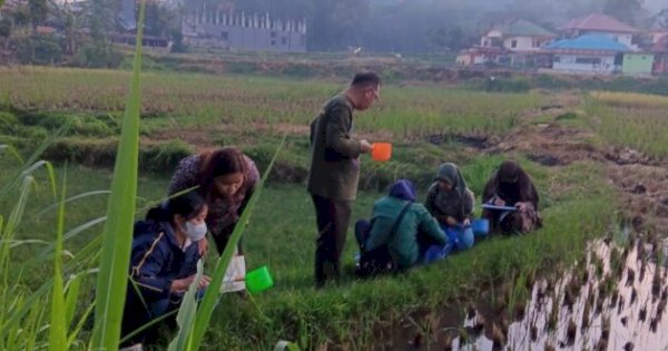 Balai Labkesmas Makassar Sukseskan Uji Resistensi Vektor Malaria Terhadap Insektisida di Toraja Utara