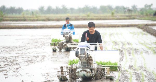 Ekspor Pertanian Januari-Agustus 2025 Melonjak 38,25 Persen, Bukti Ketangguhan Pangan Nasional