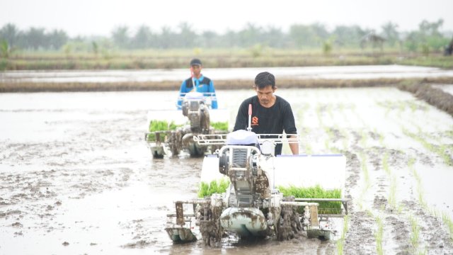 Ekspor Pertanian Januari-Agustus 2025 Melonjak 38,25 Persen, Bukti Ketangguhan Pangan Nasional