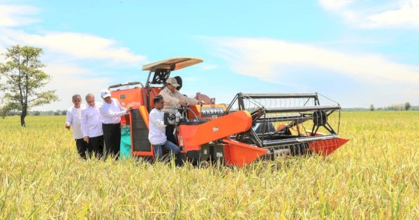 Survei Litbang Kompas: 71,5 Persen Puas dengan Kinerja Kementan