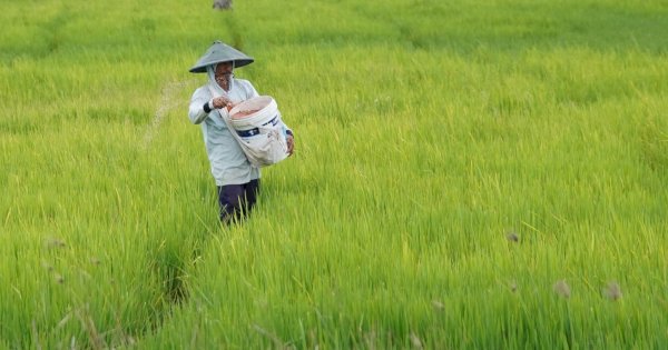 Kepuasan Petani Terhadap Kinerja Kementerian Pertanian Capai 84 Persen