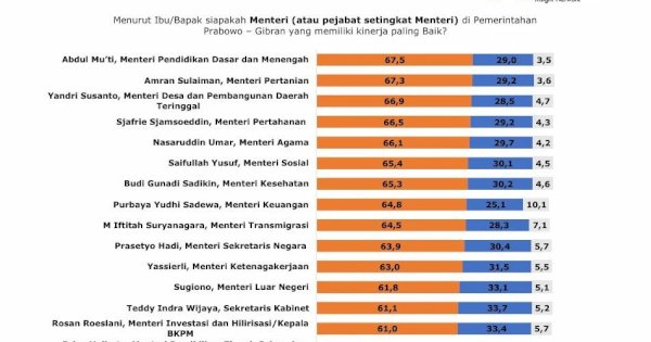 Setahun Kabinet Prabowo–Gibran, Publik Nilai Mentan Amran Nomor Dua Terbaik