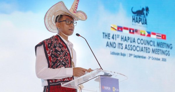 PLN Siap Kolaborasi Regional Bangun ASEAN Power Grid Menuju Net Zero Emissions 2060