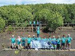 Kolaborasi Pulihkan Pesisir, 5.000 Mangrove Ditanam untuk Masa Depan Hijau Makassar
