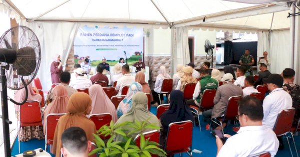 BI Sulsel Panen Perdana Padi Gamagora 7 di Maros, Produktivitas Tembus 8,9 Ton per Hektar