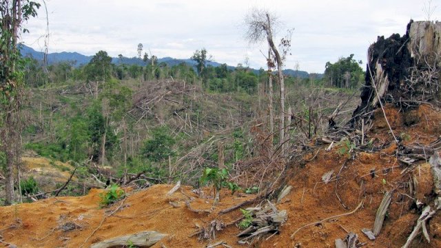 Kondisi puncak gunung di semua desa di Tompobulu yang sudah gundul ||yoz@harian.news 