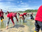 Pertamina Patra Niaga Sulawesi Tanam 1.000 Mangrove di Kendari Wujudkan Ekosistem Pesisir