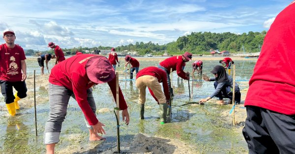 Pertamina Patra Niaga Sulawesi Tanam 1.000 Mangrove di Kendari Wujudkan Ekosistem Pesisir