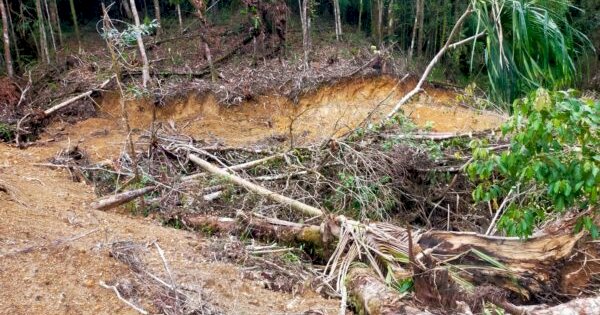 Gunung Bawakaraeng dan Lompobattang Dikepung Mafia Hutan