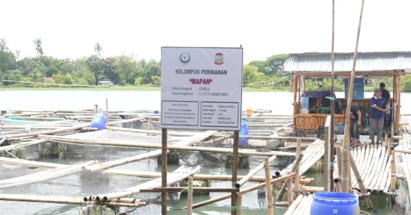 Perkuat Ketahanan Pangan, Wali Kota Munafri Ikut Panen Ikan di Danau Tanjung Bunga