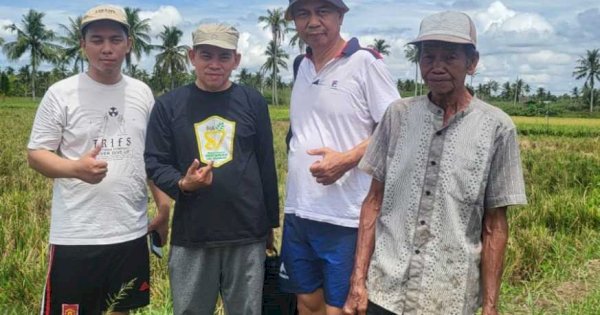 Inovasi Padi Lokal: Meningkatkan Ketahanan Pangan Melalui Penelitian Dosen FAPERTA UMI