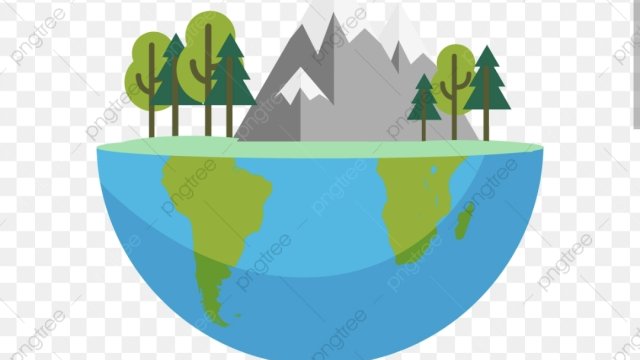 Ilustrasi hutan lindung. Dok. Pngtre. 