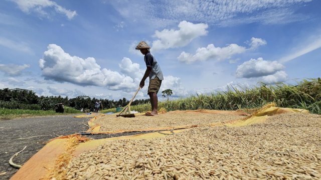 Petani. Ilustrasi/Ist