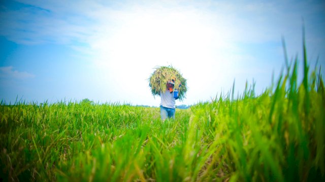 Petani. Dok. Humas Kementan