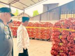 Mentan Amran Sidak 133,5 ton Bawang Bombay Selundupan Berpenyakit: Tidak Ada Ampun, Usut Sampai Akar