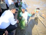 Mentan Amran Mulai Rehabilitasi 98 Ribu Hektare Sawah Pascabencana di Sumatera