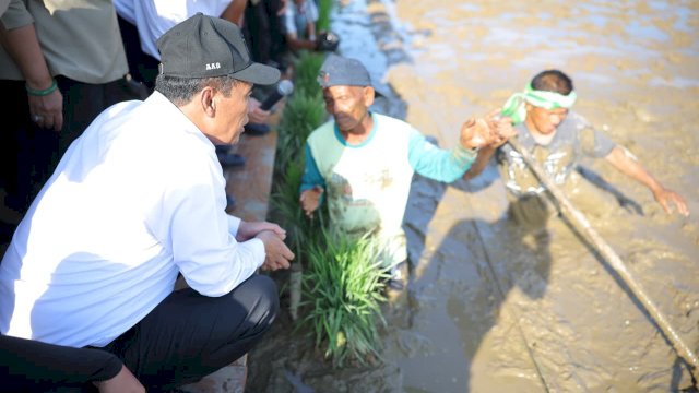 Mentan Amran Sulaiman rehabilitasi sawah pasca bencana. (IST)