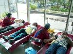 Bulan K3 2026, Pelindo Makassar Gelar Donor Darah Bersama UTD Kota Makassar