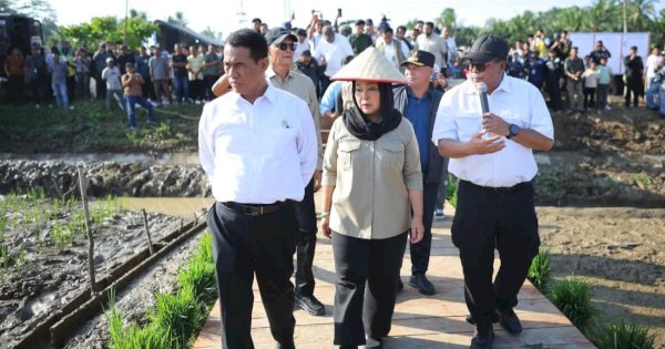 Kementan Alokasikan Rp336 Miliar untuk Rehabilitasi Sawah Terdampak Banjir di Sumatera