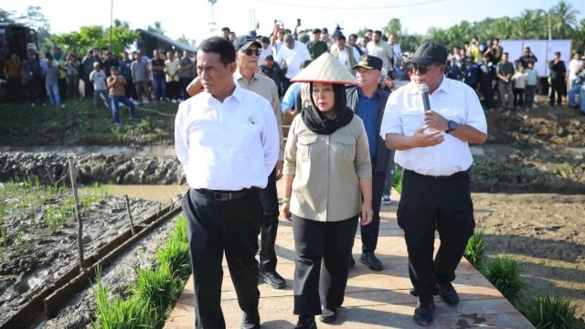 Kementan Alokasikan Rp336 Miliar untuk Rehabilitasi Sawah Terdampak Banjir di Sumatera