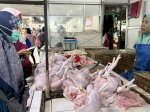 Kementan Gencarkan Sidak, Pastikan Pasokan Aman dan Harga Daging, Ayam, serta Telur Stabil Selama Ramadan