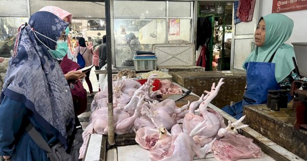 Kementan Gencarkan Sidak, Pastikan Pasokan Aman dan Harga Daging, Ayam, serta Telur Stabil Selama Ramadan