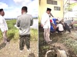 Temukan Aset Negara Terbengkalai, Mentan Amran Ultimatum Pegawai di Maros