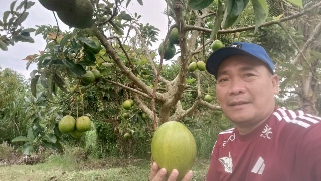 Pengunjung menunjukan hasil petik sendiri di Karebosi Mappise Sidrap. (Dok. Ist)
