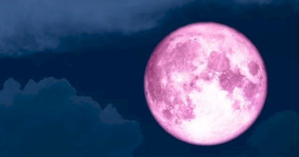 Pink Moon April 2026 Bisa Dilihat di Indonesia, Catat Waktu dan Cara Mengamatinya
