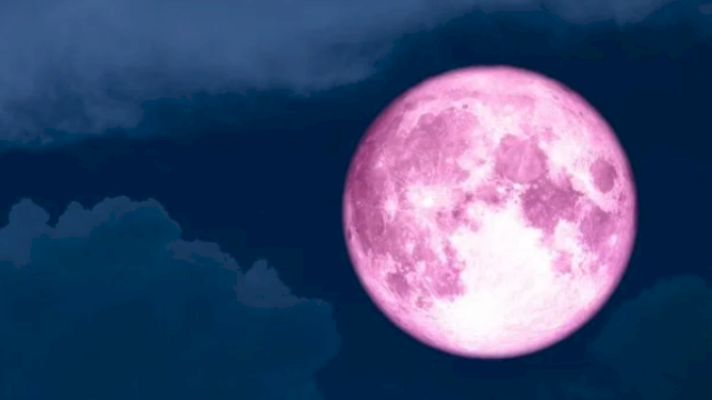 Pink Moon yang diprediksi akan muncul April mendatang. (Foto: google)