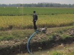 Potensi Kekeringan Menguat, Kementan Dorong Optimalisasi Pompa Air