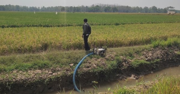 Potensi Kekeringan Menguat, Kementan Dorong Optimalisasi Pompa Air