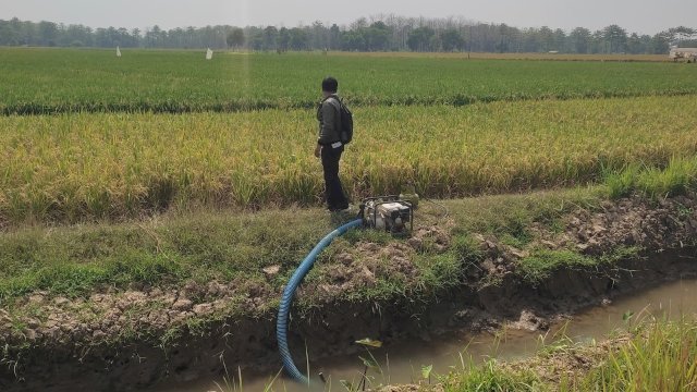 Potensi Kekeringan Menguat, Kementan Dorong Optimalisasi Pompa Air
