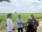 Irigasi Minim, DPRD dan FPMJ Tinjau Lahan Gagal Panen di Jeneponto