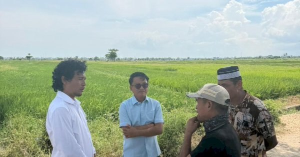 Irigasi Minim, DPRD dan FPMJ Tinjau Lahan Gagal Panen di Jeneponto