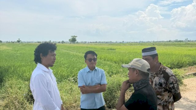 Anggota DPRD Herman KR Nai dari Fraksi Gerindra bersama FPMJ meninjau lokasi persawahan yang mengalami gagal panen. (Dok. ASW)