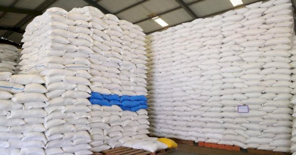 Beras RI Tembus Pasar Saudi, 10 Ribu Ton Digelontorkan untuk Palestina