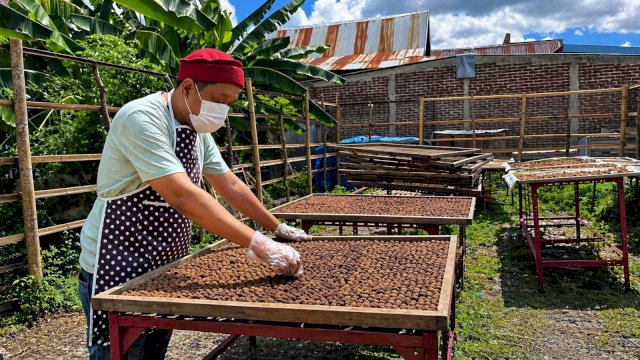 Proses produksi terasi To Riolo, dari pengolahan hingga penjemuran, dilakukan dengan teliti untuk menjaga kualitas dan cita rasa khas. (Dok. PLN Sulselrabar)