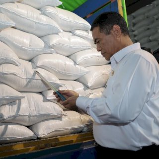 Mentan Amran Percepat Swasembada, Stok Beras Pemerintah Tembus Rekor 5 Juta Ton