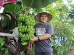 Urban Farming dan Jalan Keluar dari Krisis Sampah Kota