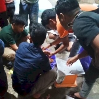 Kades Salubulo Gandeng PT Mars, Kakao Tembus Pasar Global