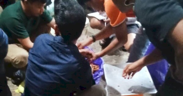 Kades Salubulo Gandeng PT Mars, Kakao Tembus Pasar Global