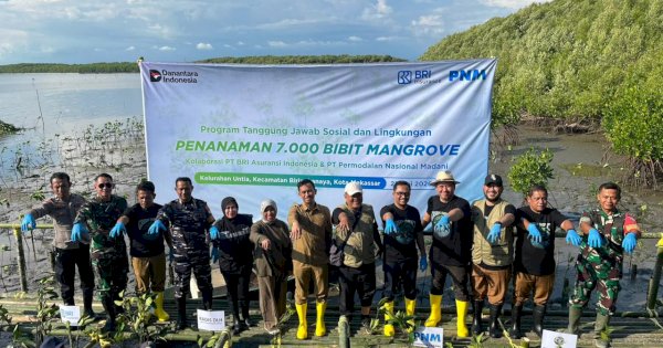 Menanam Masa Depan: PNM, BRINS, dan Buttaporea Tanam 7.000 Mangrove di Pesisir Untia Makassar