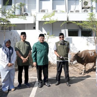 Pemkot Makassar Tebar Berkah Iduladha, 9 Ekor Sapi Kurban Disalurkan ke Masyarakat
