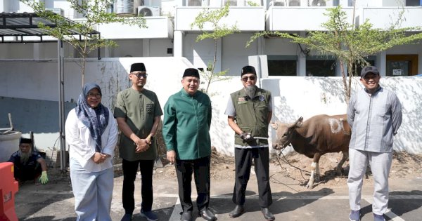 Pemkot Makassar Tebar Berkah Iduladha, 9 Ekor Sapi Kurban Disalurkan ke Masyarakat