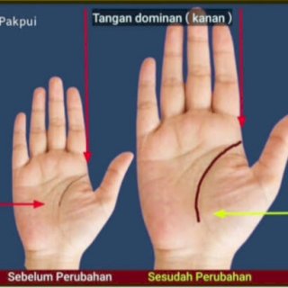 Ilmu Kuno Palmistri: Cara Membaca Nasib Sukses dari Garis Tangan