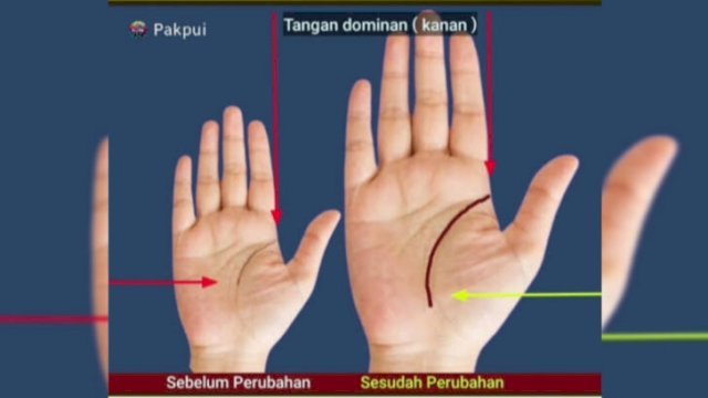 Cek Telapak Tangan! 7 Garis Ini Bikin Kamu Kaya Mendadak (tangkaplayar_tiktok@pakpui)