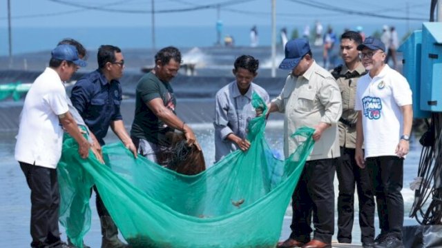 Presiden Prabowo Subianto meninjau langsung panen raya udang di Tambak 
Budidaya Udang Berbasis Kawasan (BUBK) Kebumen, Jawa Tengah, Sabtu 
(23/5/2026).(Foto: Dok. Sekretariat Presiden_IG@presidenrepublikindonesia) 