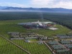 Wilmar Buka Lowongan Besar-besaran di Pabrik Sawit Sumatera & Kalimantan